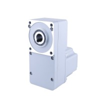 Parallel Gearbox Motor (0)