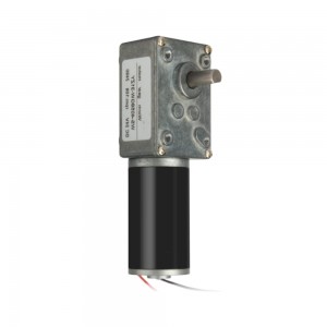 12V 10RPM 4.6Nm Φ31mm Geared DC Motor Worm Reduction Gearbox
