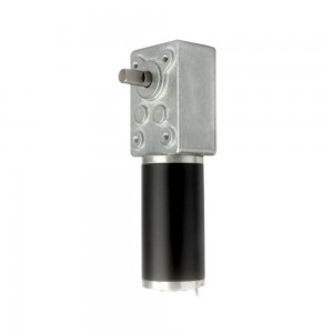 24V 5RPM 18.0Nm Φ42mm Geared DC Motor Worm Reduction Gearbox