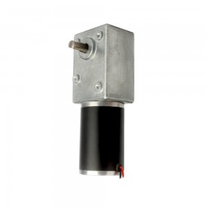 12V 295RPM 1.0Nm Φ50mm Geared DC Motor Worm Reduction Gearbox