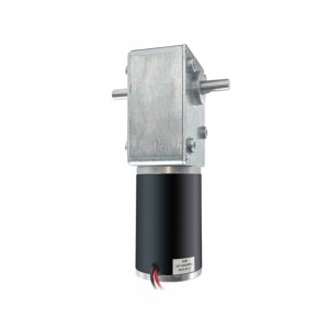 24V 20RPM 10.0Nm Φ50mm Geared DC Motor Worm Double Shaft Gearbox