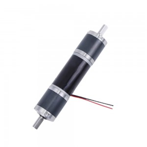24V 42RPM 2.7Nm Φ31mm Double Geared DC Motor Planetary Gearbox