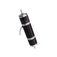 Double Gear Motor (39)