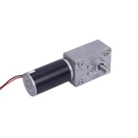 Worm Gear Motor (49)