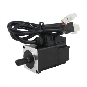 40mm 100W AC Servo Motor 220V 0.32 N-m 3000RPM 23-Bit Absolute Encoder IP65