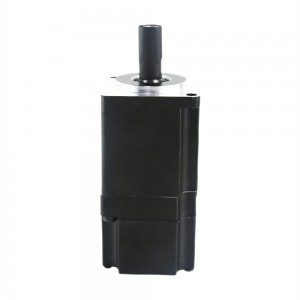 Size 40mm 100W DC Servo Motor 48V 0.32Nm 3000RPM 17Bit Absolute Encoder IP65 Electromagnetic Brake